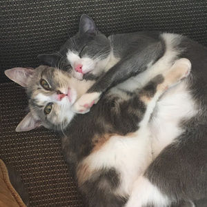 Meet your Posher, Haley